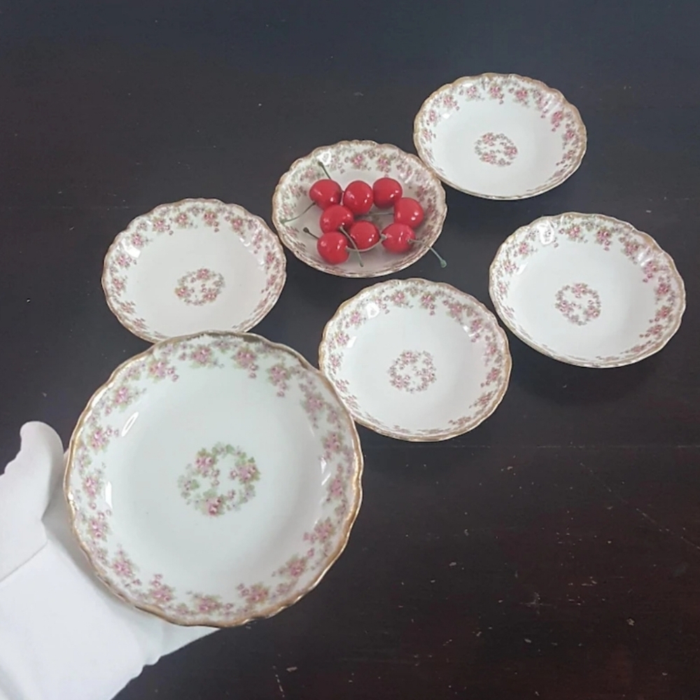 6pc Elite Works Limoges Berry Bowl Set - Porcelain with Pink Roses